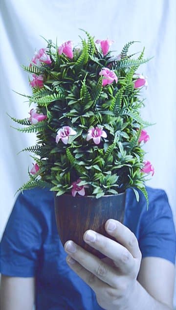 Hiding behind a flower pot